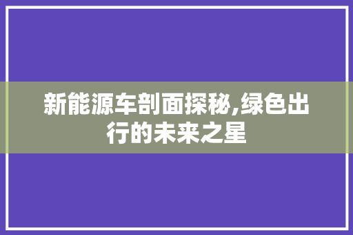 新能源车剖面探秘,绿色出行的未来之星