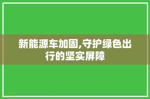 新能源车加固,守护绿色出行的坚实屏障