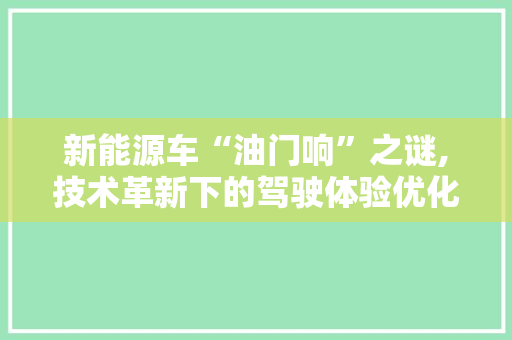 新能源车“油门响”之谜,技术革新下的驾驶体验优化