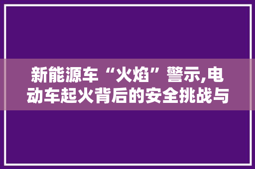 新能源车“火焰”警示,电动车起火背后的安全挑战与应对步骤