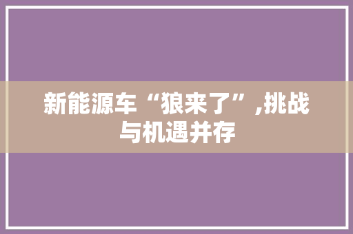 新能源车“狼来了”,挑战与机遇并存