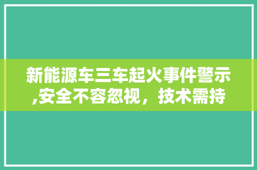 新能源车三车起火事件警示,安全不容忽视，技术需持续创新