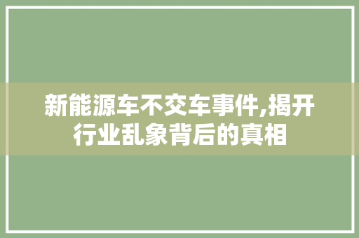 新能源车不交车事件,揭开行业乱象背后的真相