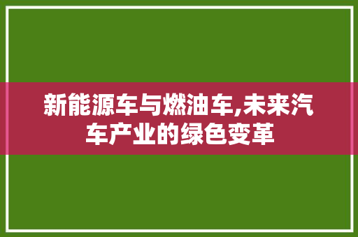 新能源车与燃油车,未来汽车产业的绿色变革