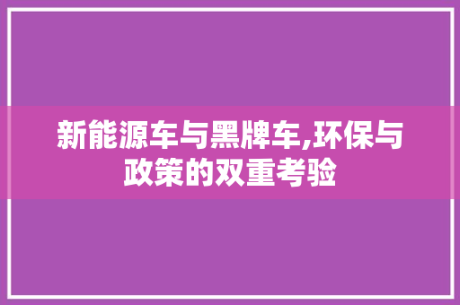 新能源车与黑牌车,环保与政策的双重考验
