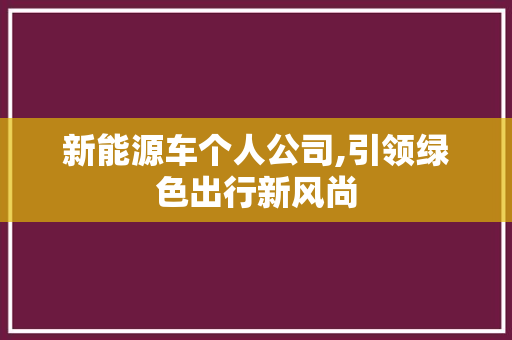新能源车个人公司,引领绿色出行新风尚