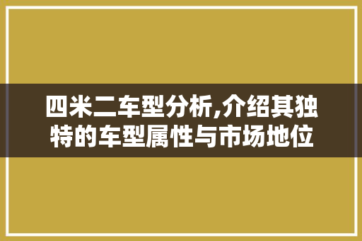 四米二车型分析,介绍其独特的车型属性与市场地位