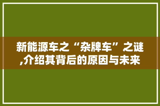 新能源车之“杂牌车”之谜,介绍其背后的原因与未来展望