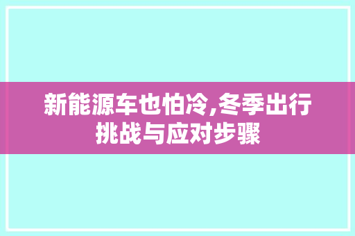 新能源车也怕冷,冬季出行挑战与应对步骤