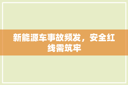 新能源车事故频发，安全红线需筑牢