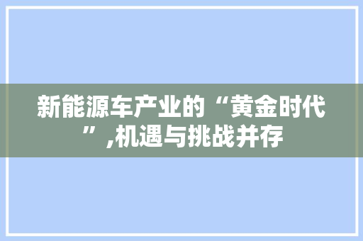 新能源车产业的“黄金时代”,机遇与挑战并存