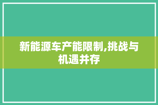 新能源车产能限制,挑战与机遇并存