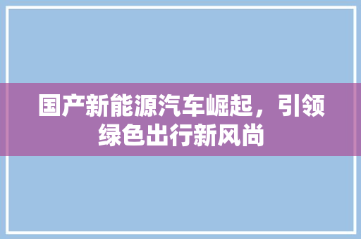 国产新能源汽车崛起，引领绿色出行新风尚