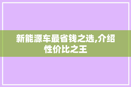 新能源车最省钱之选,介绍性价比之王