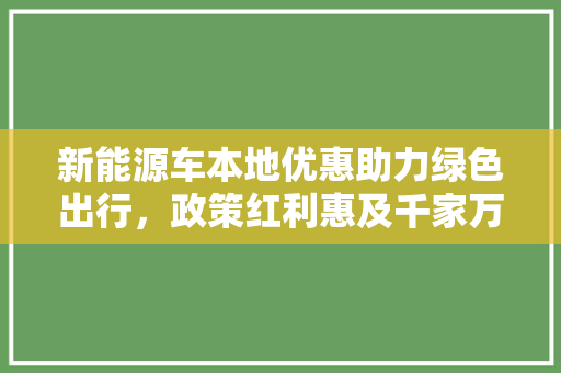 新能源车本地优惠助力绿色出行，政策红利惠及千家万户