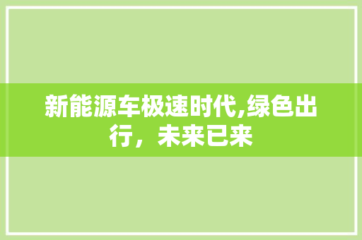 新能源车极速时代,绿色出行，未来已来