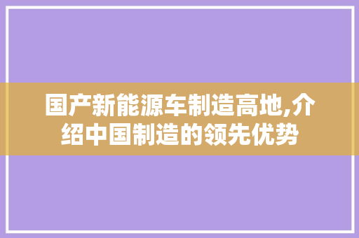 国产新能源车制造高地,介绍中国制造的领先优势
