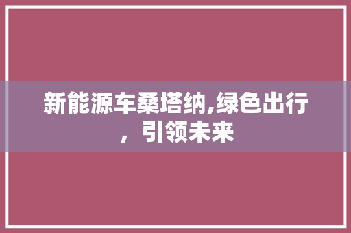 新能源车桑塔纳,绿色出行，引领未来