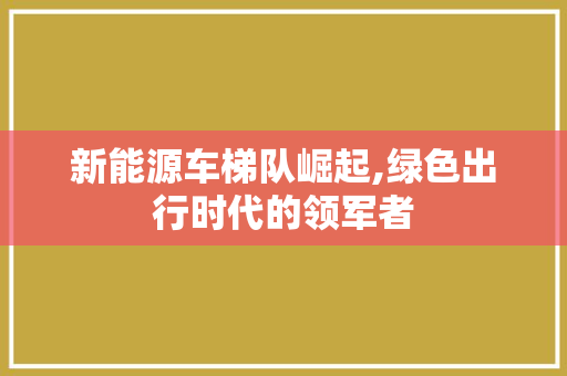 新能源车梯队崛起,绿色出行时代的领军者