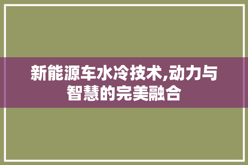 新能源车水冷技术,动力与智慧的完美融合