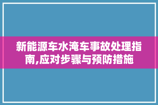 新能源车水淹车事故处理指南,应对步骤与预防措施