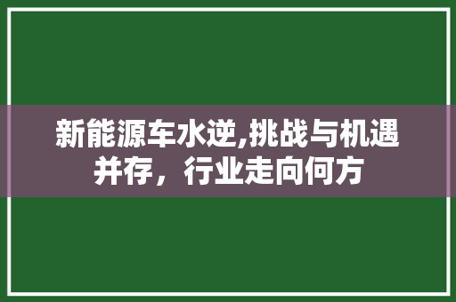 新能源车水逆,挑战与机遇并存，行业走向何方