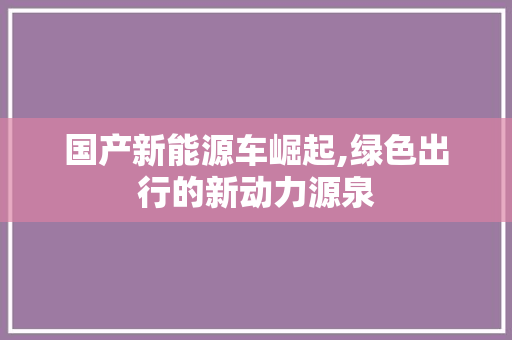 国产新能源车崛起,绿色出行的新动力源泉