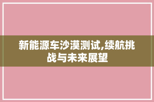 新能源车沙漠测试,续航挑战与未来展望