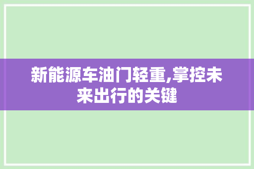 新能源车油门轻重,掌控未来出行的关键