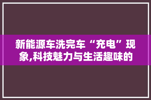 新能源车洗完车“充电”现象,科技魅力与生活趣味的完美融合