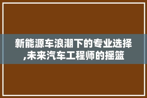 新能源车浪潮下的专业选择,未来汽车工程师的摇篮