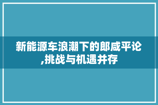 新能源车浪潮下的郎咸平论,挑战与机遇并存