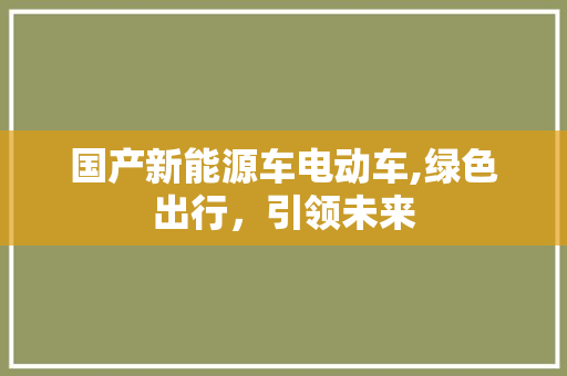 国产新能源车电动车,绿色出行，引领未来