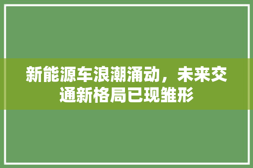 新能源车浪潮涌动，未来交通新格局已现雏形