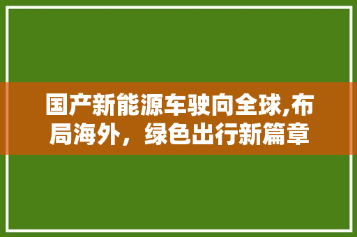 国产新能源车驶向全球,布局海外，绿色出行新篇章