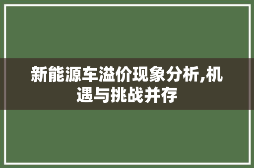 新能源车溢价现象分析,机遇与挑战并存