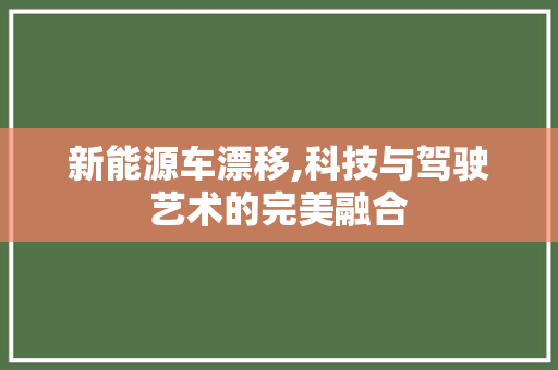 新能源车漂移,科技与驾驶艺术的完美融合