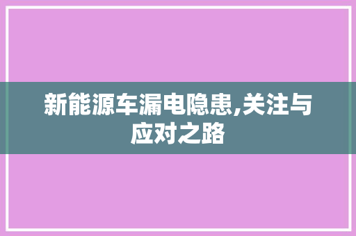 新能源车漏电隐患,关注与应对之路