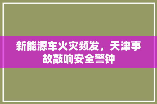 新能源车火灾频发，天津事故敲响安全警钟