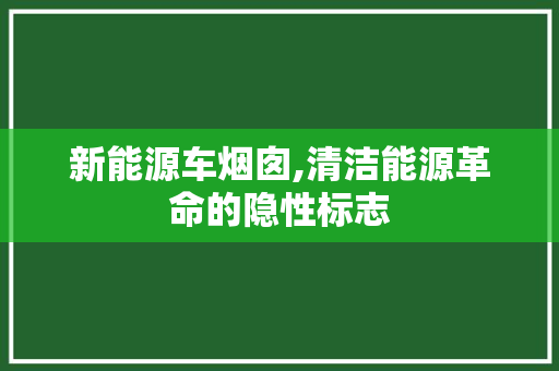 新能源车烟囱,清洁能源革命的隐性标志