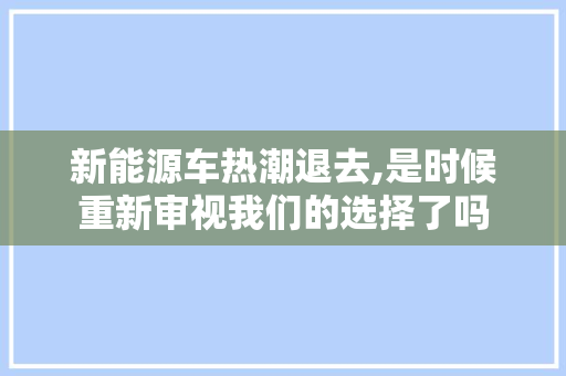 新能源车热潮退去,是时候重新审视我们的选择了吗