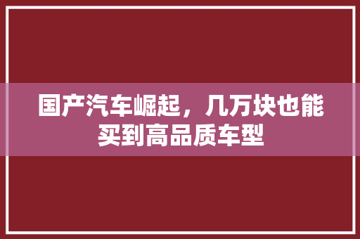 国产汽车崛起，几万块也能买到高品质车型
