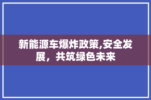 新能源车爆炸政策,安全发展，共筑绿色未来