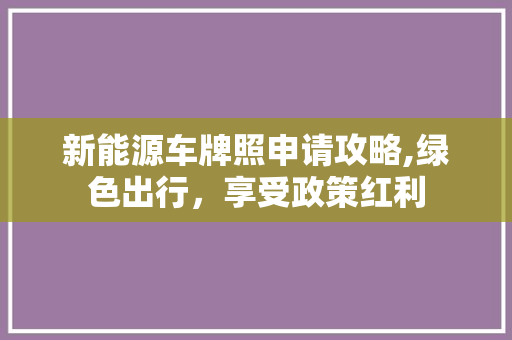新能源车牌照申请攻略,绿色出行，享受政策红利