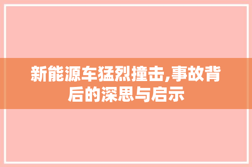 新能源车猛烈撞击,事故背后的深思与启示