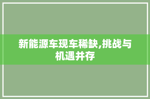 新能源车现车稀缺,挑战与机遇并存