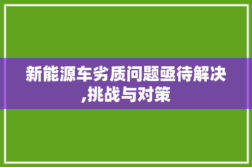 新能源车劣质问题亟待解决,挑战与对策