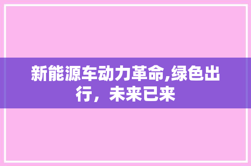新能源车动力革命,绿色出行，未来已来