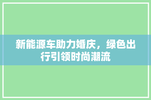 新能源车助力婚庆，绿色出行引领时尚潮流