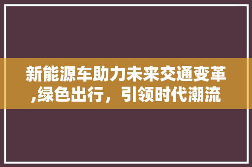新能源车助力未来交通变革,绿色出行，引领时代潮流